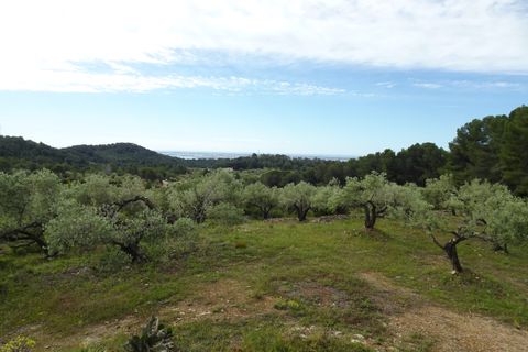 Landejendom i El Perello, Tarragona, El Perello - € 139.000 | Ref: Per1418nic - foto 19